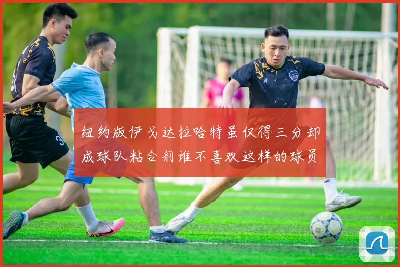 纽约版伊戈达拉哈特虽仅得三分却成球队粘合剂谁不喜欢这样的球员