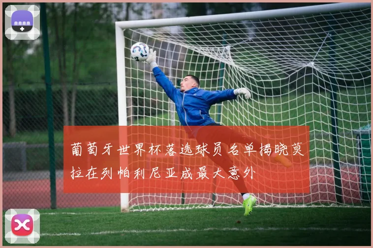 葡萄牙世界杯落选球员名单揭晓莫拉在列帕利尼亚成最大意外